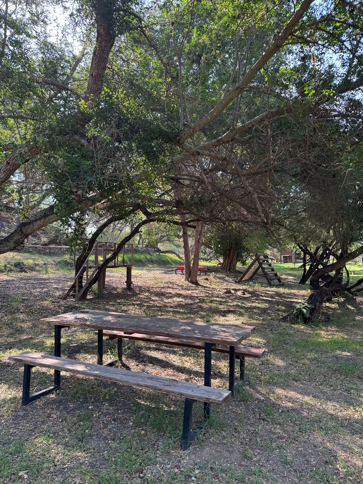 Juegos Infantiles — Isla Grande