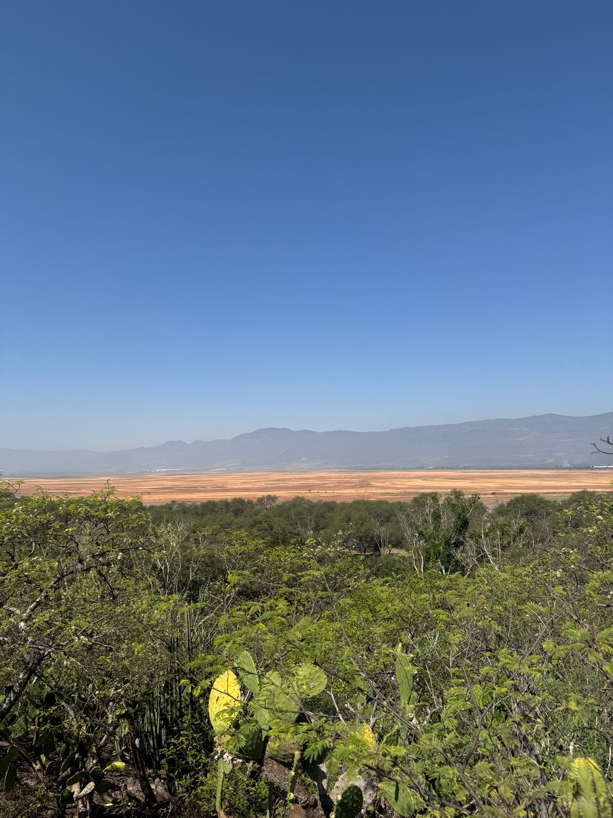 Montaña Sagrada — Isla Grande