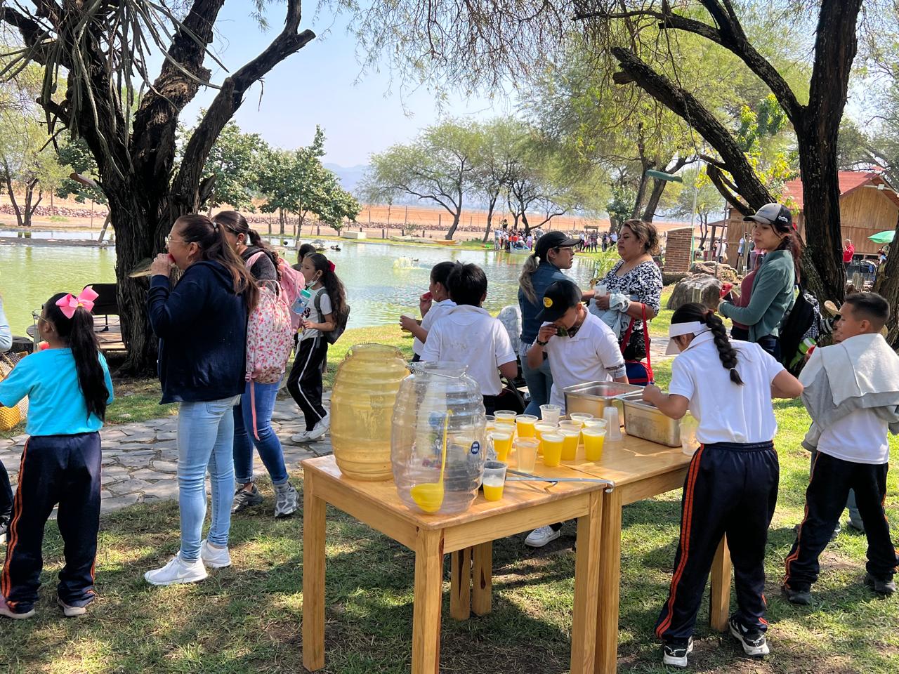 Nuestro Impacto — Isla Grande