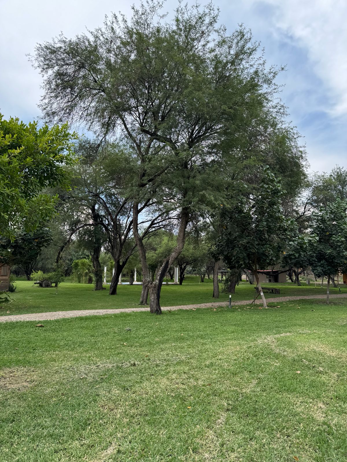 Zona de Camping — Isla Grande