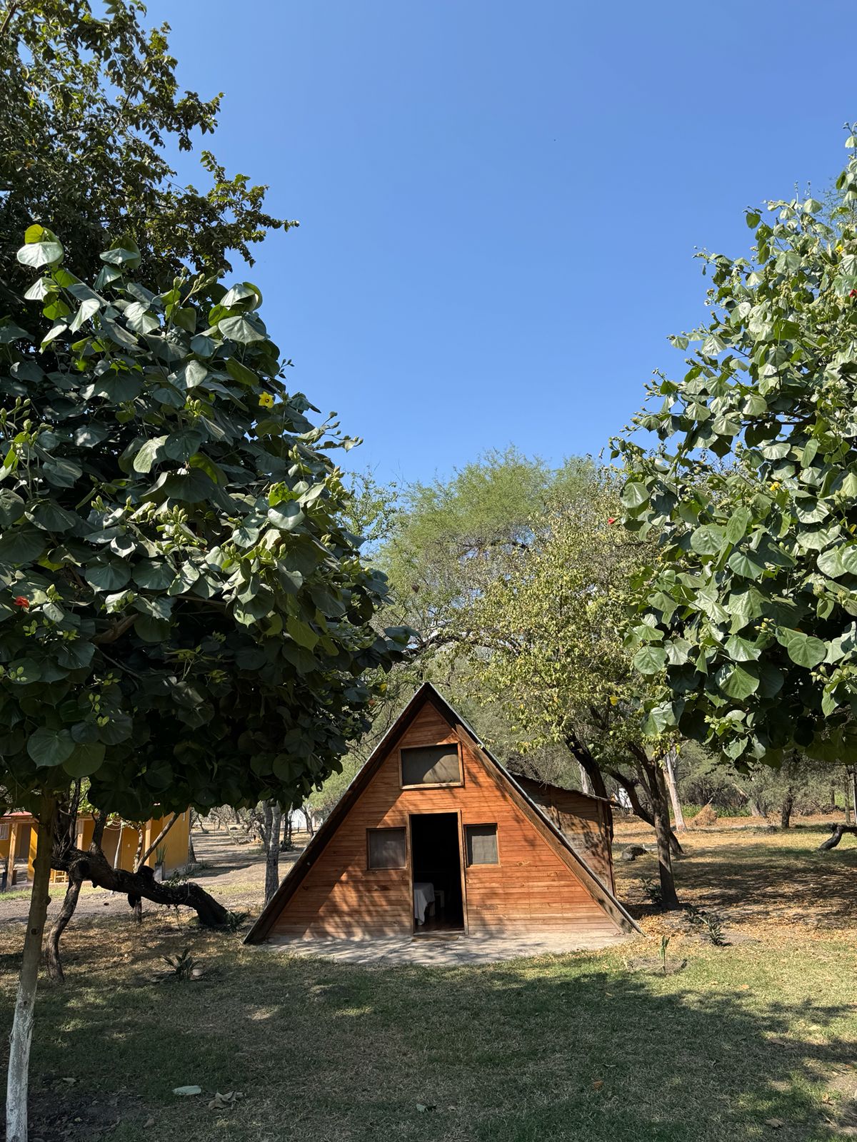 Cabaña Alpina — Isla Grande