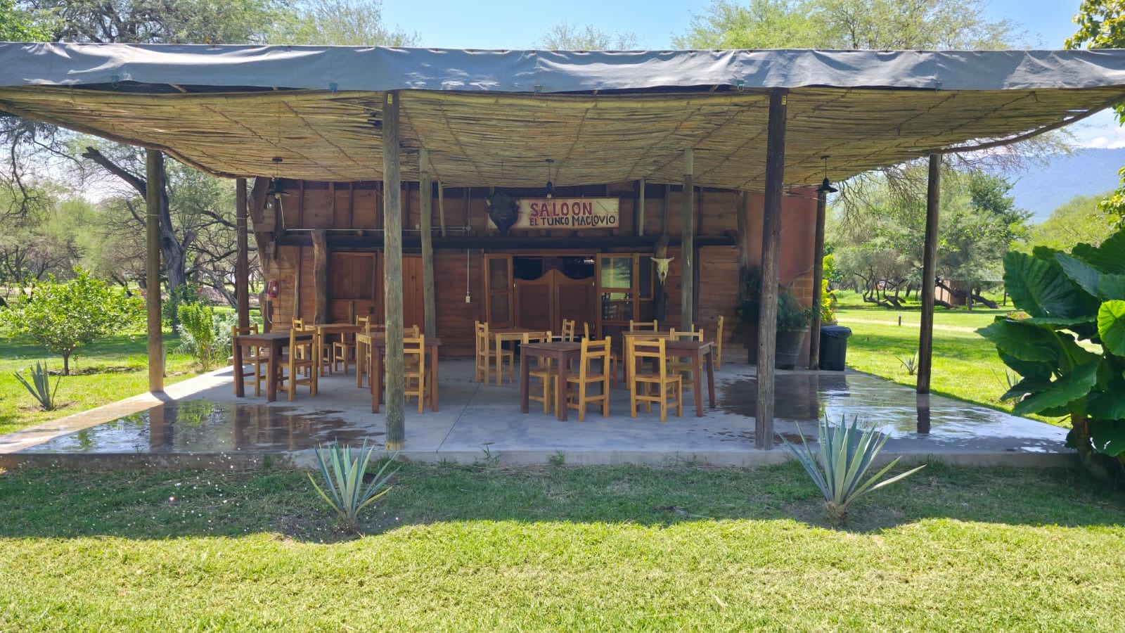 Restaurant Bar Tunco Maclovio